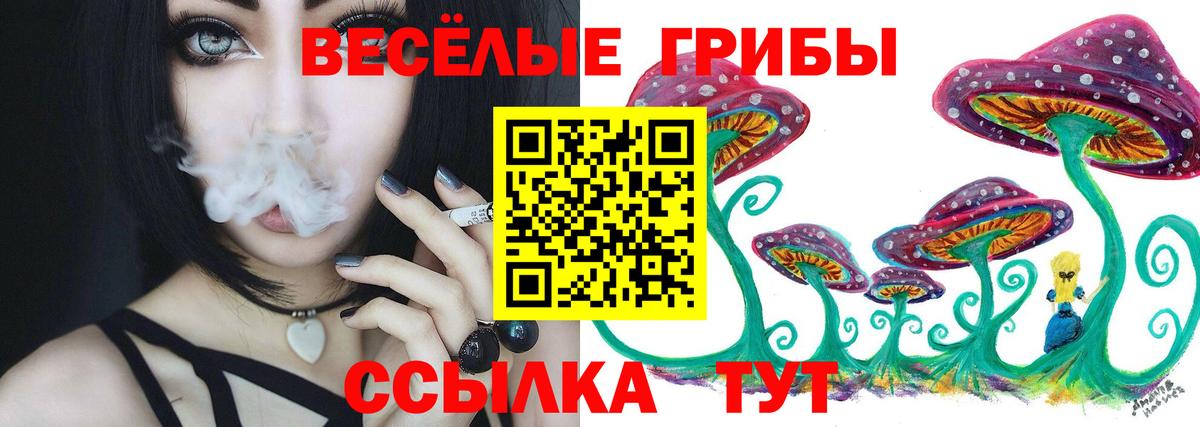 КОКАИН  ГАШИШ  Гашиш  КОКАИН  Меф кристаллы  A PVP СОЛЬ кристаллы  Анжеро-Судженск  Конопля  Вход с VPN 