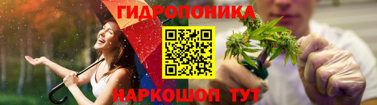 Шишки марихуана гибрид Анжеро-Судженск